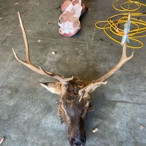 Meet your Posher, Nathane